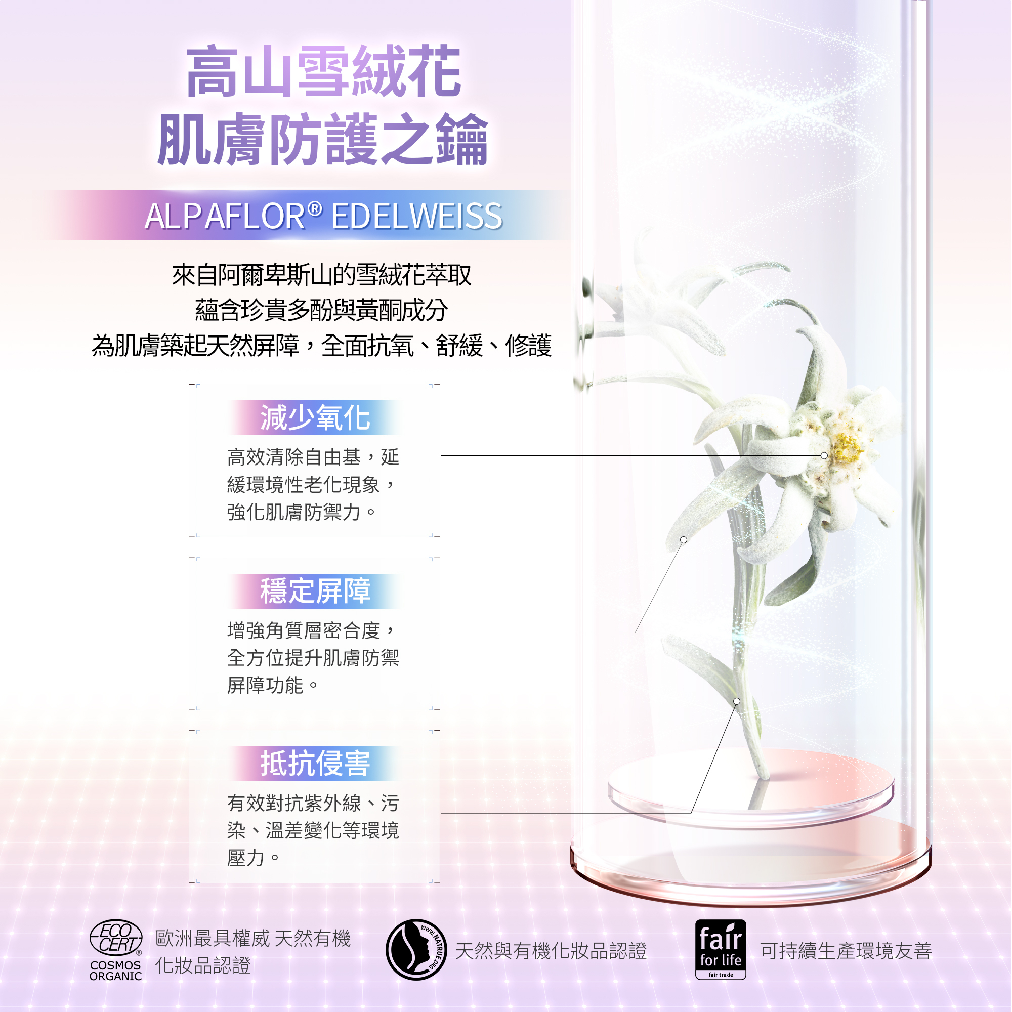 髮妝之鑰LA BIOSTHETIQUE 法國LB MR微導靈芝膠原賦活霜