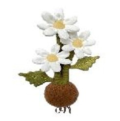 绒绒森林 小雏菊