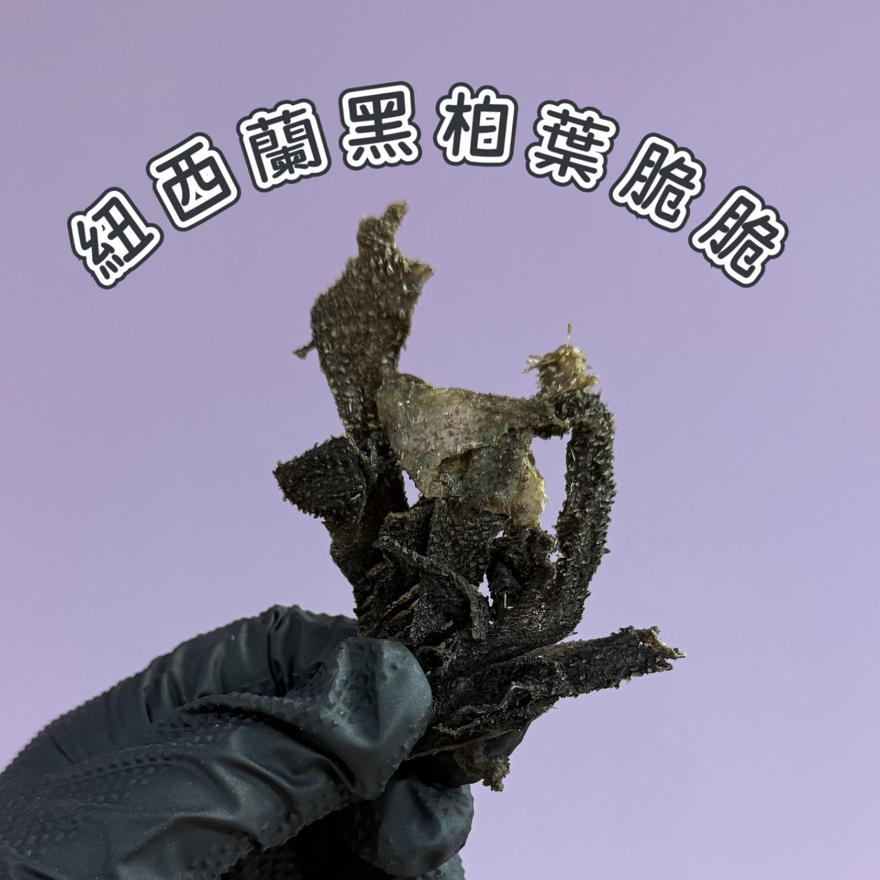 紐西蘭黑柏葉脆脆