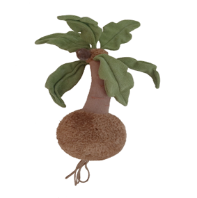 绒绒森林 椰子树