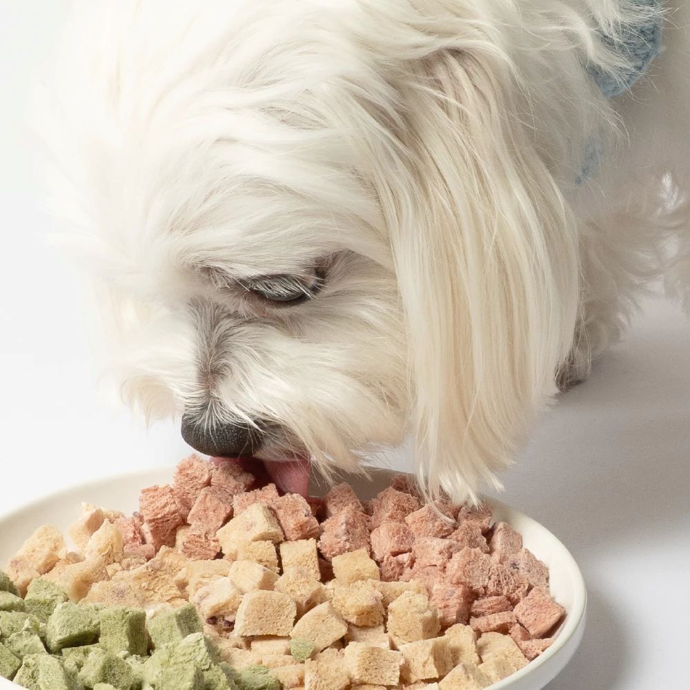 汪喵星球｜犬貓凍乾保健零食 機能保健丁 (泌尿保健/口腔保健/排毛保健/關節保健)