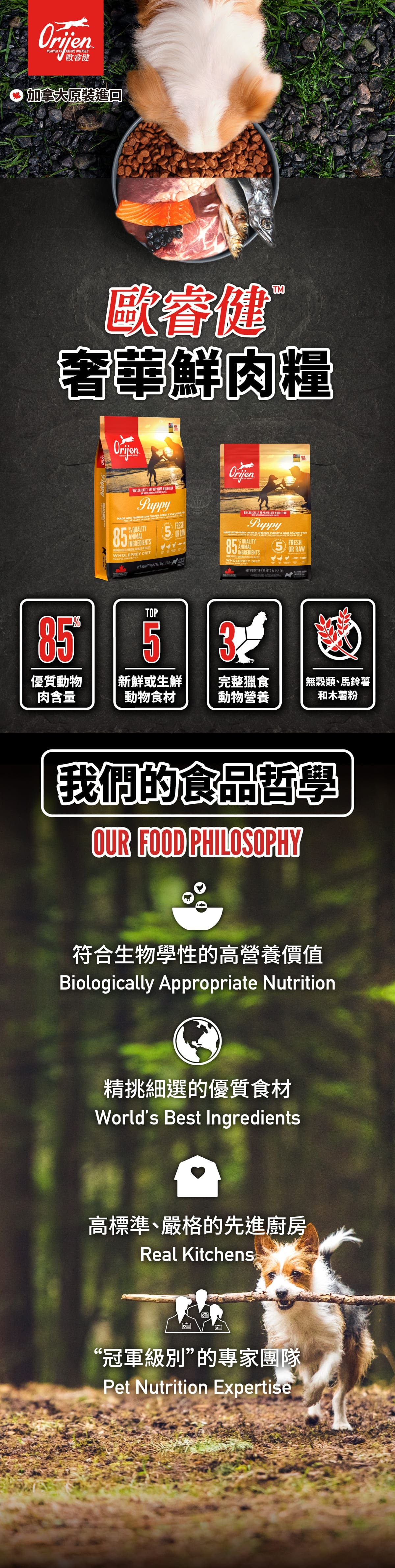 歐睿健-Orijen-鮮雞幼犬-狗飼料