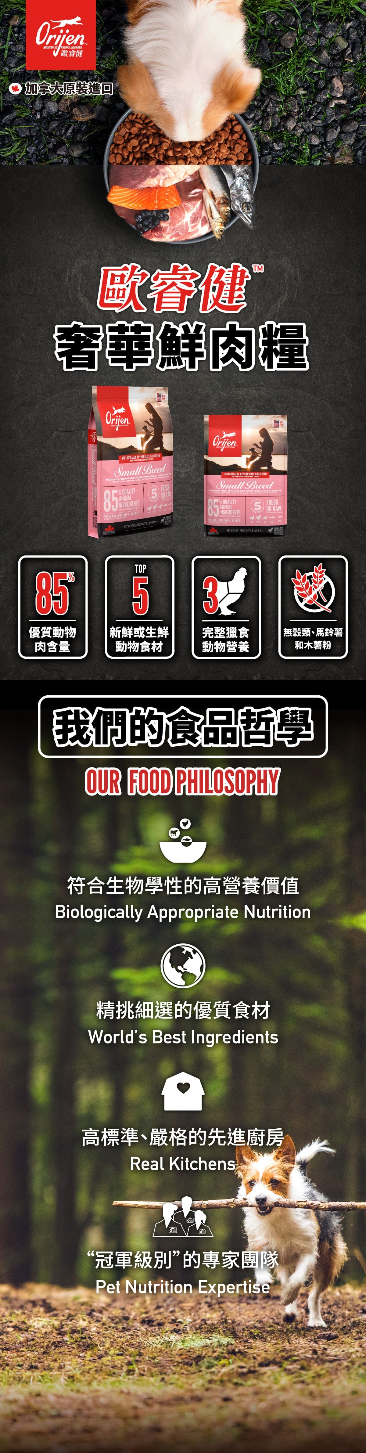 歐睿健-Orijen-小型成犬-11種肉-無穀-狗飼料