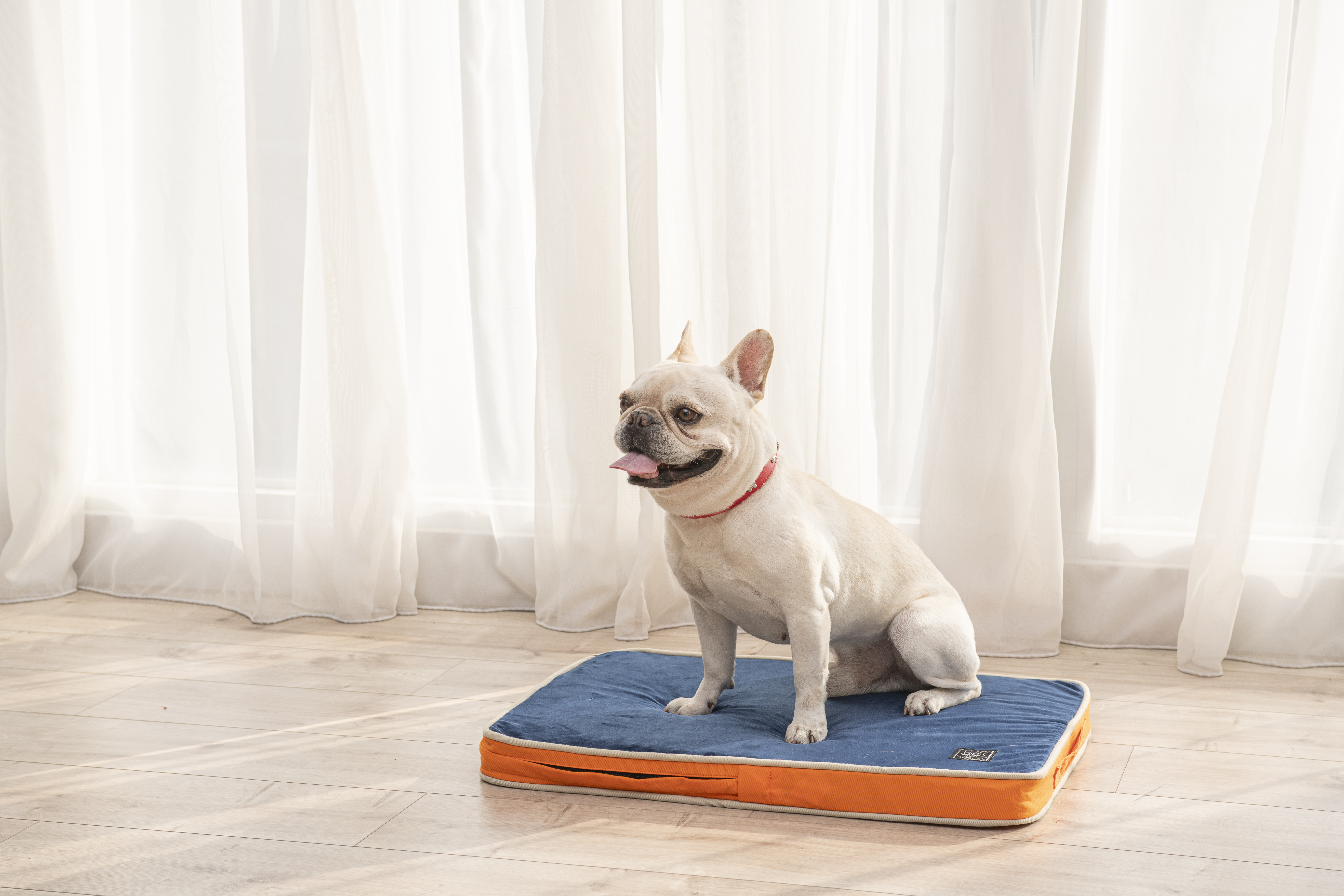 LIFEAPP 經典寵物緩壓睡墊 - M