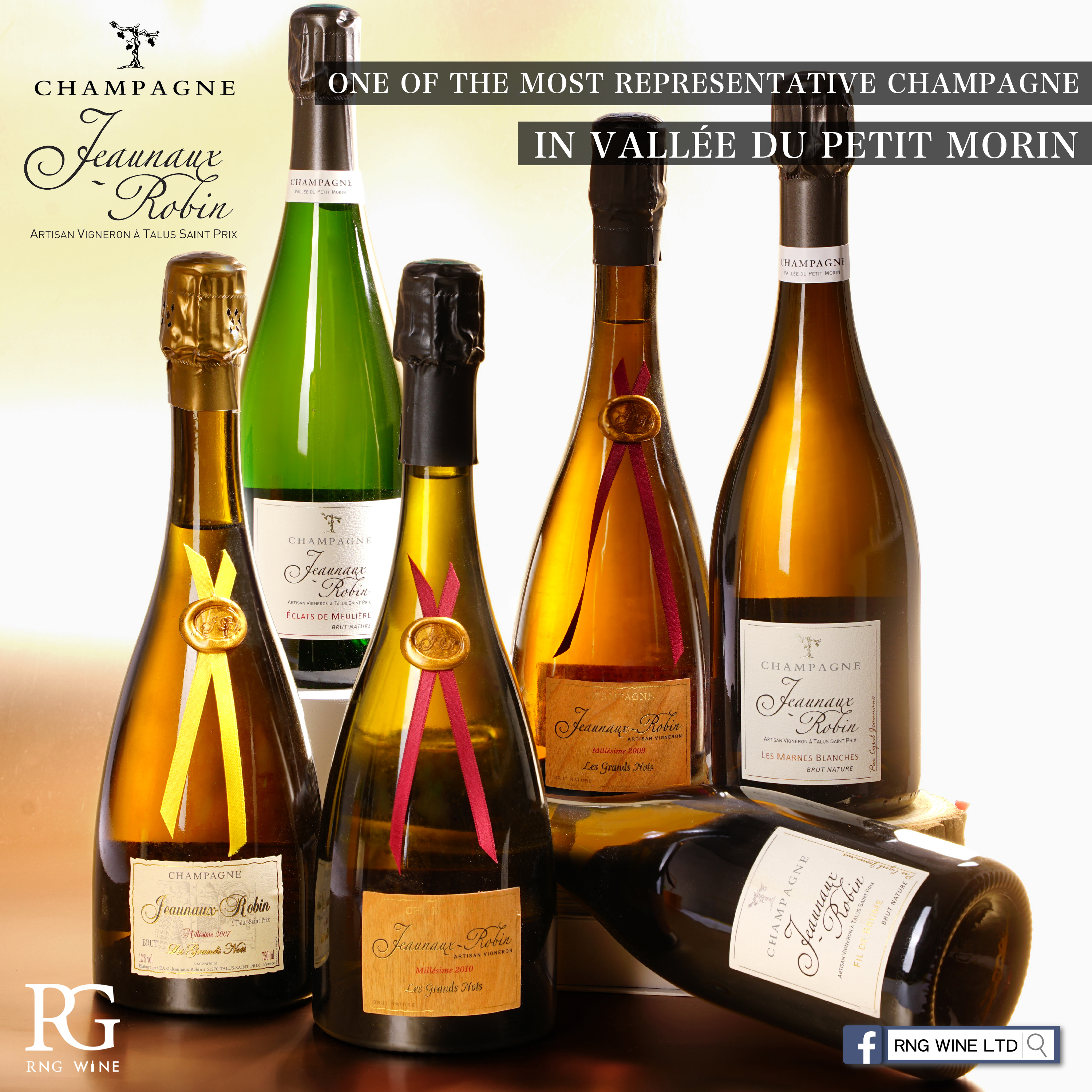 Jeaunaux Robin Les Grands Nots Brut Nature 2010