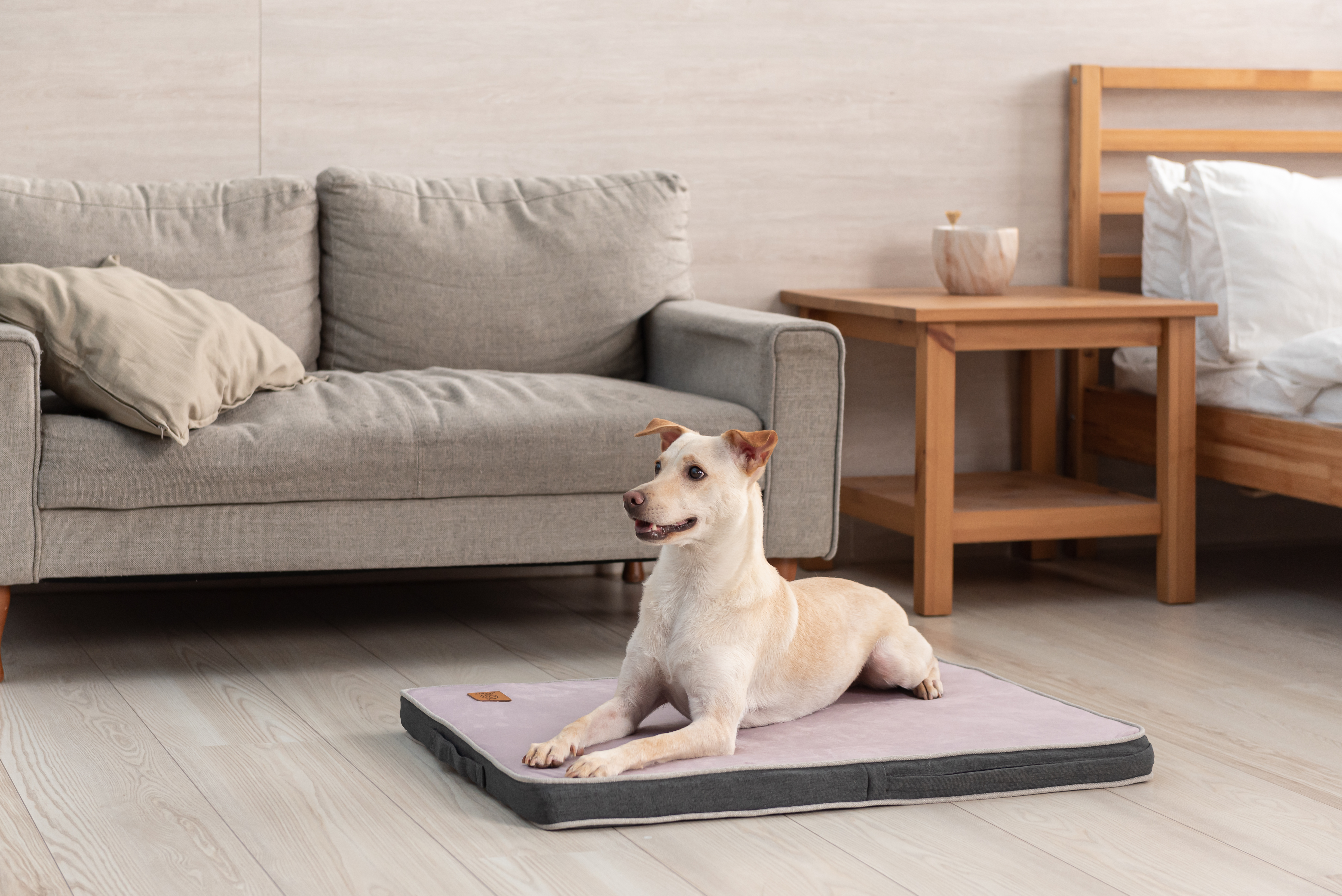 LIFEAPP 經典寵物緩壓睡墊 - L