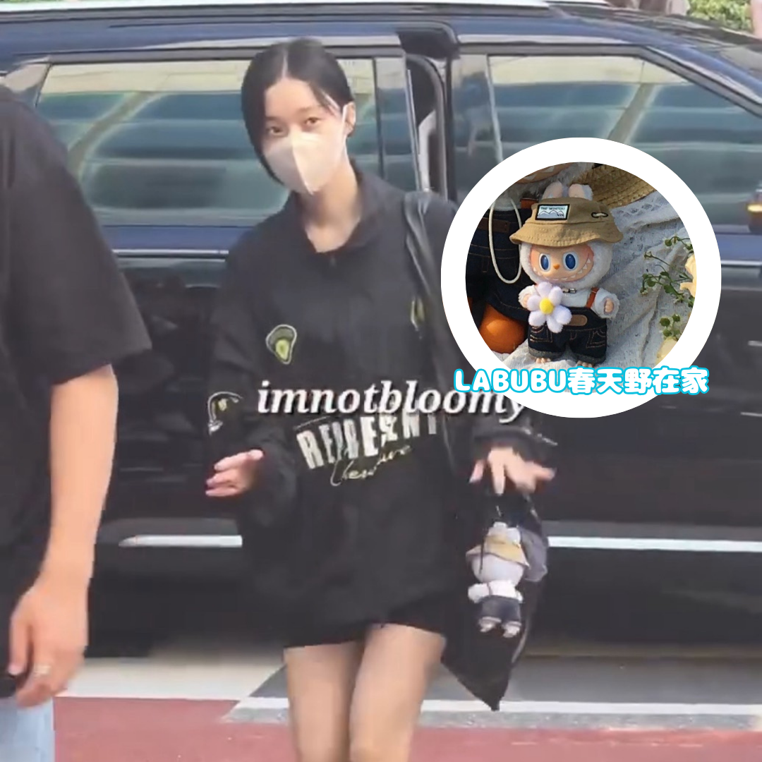 <快速出貨> #Lisa #Winter同款💖 The Monsters LABUBU 春天野在家系列 ✨