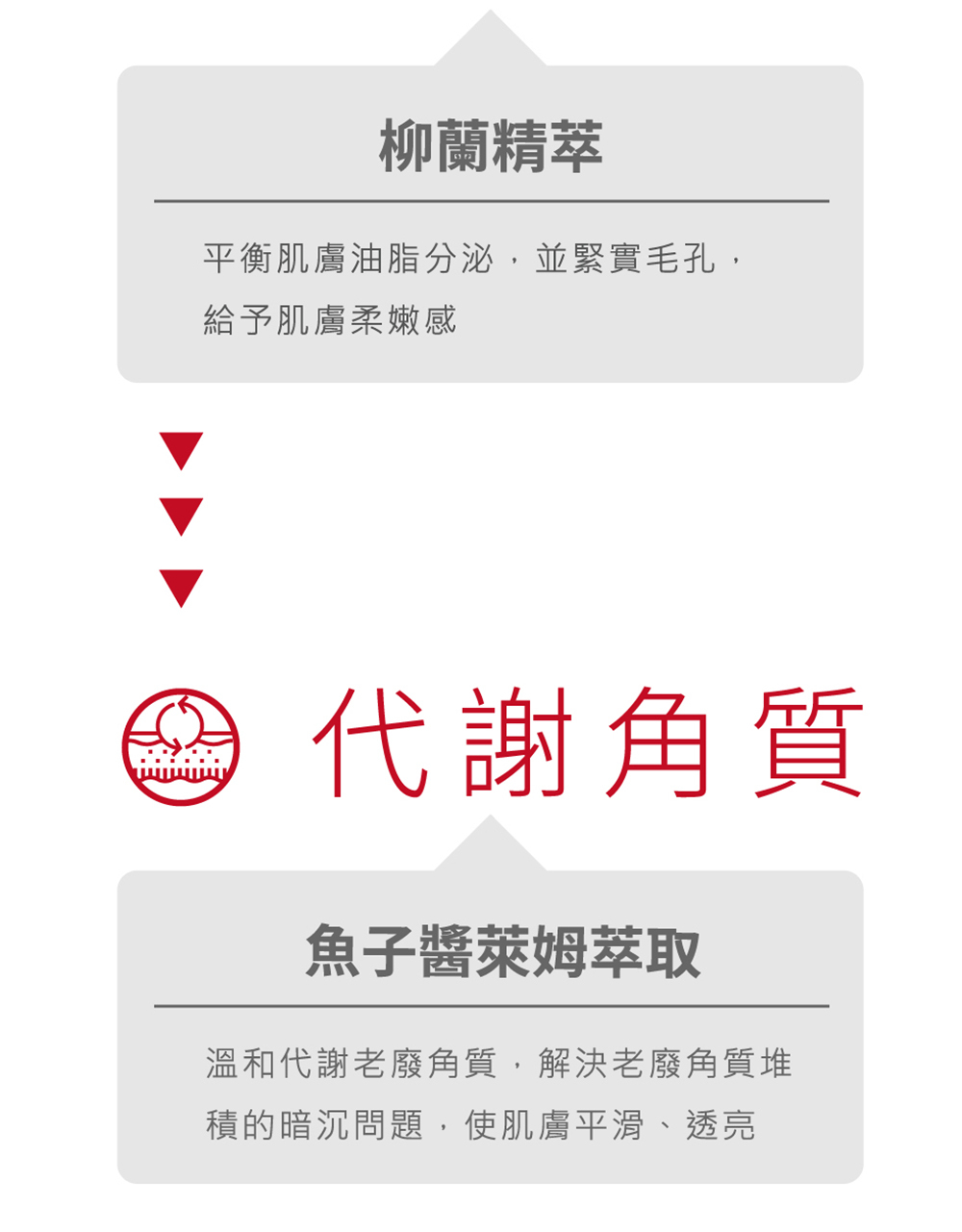 Swissvita薇佳 速效抗痘調理潔面乳100g VitaBtech升級版
