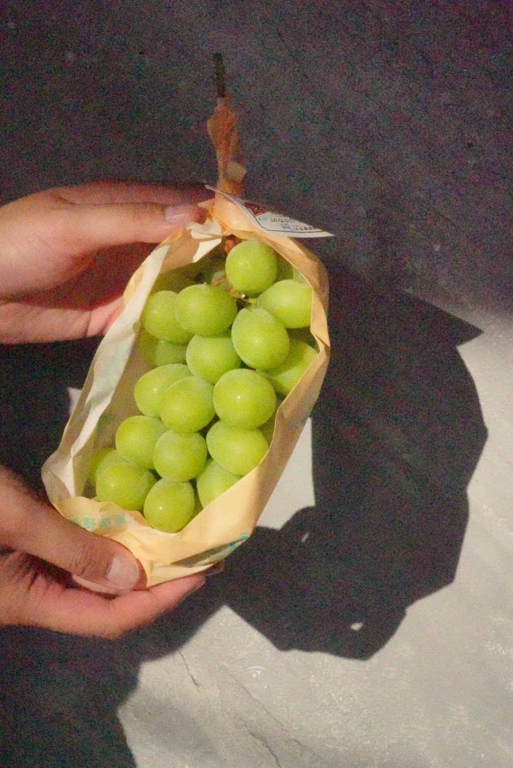 奇果｜長野麝香葡萄
