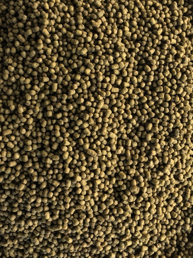 KZ Marine-Fish Pellets海水魚飼料顆粒 2MM 350g