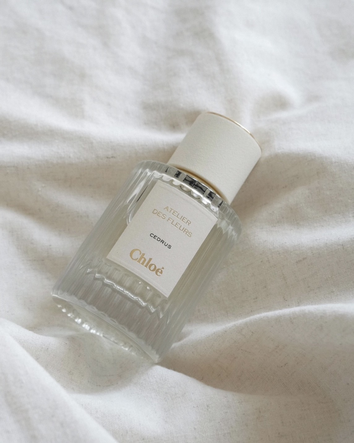 <富家千金味道>Chloe Atelier des Fleurs 蔻依 仙境花園 香水 北國雪松 50ml