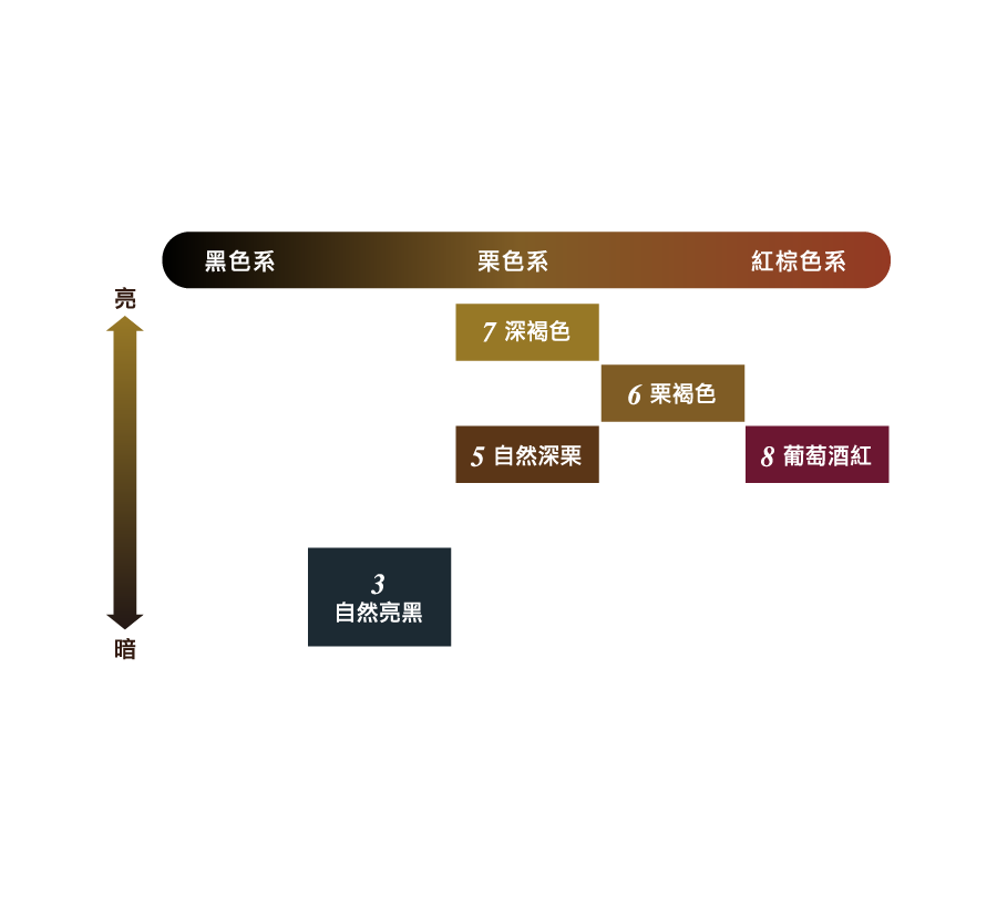 566染髮劑環保補充包
