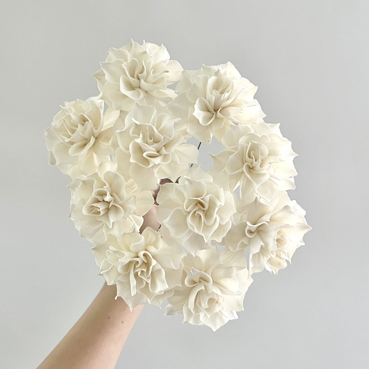 泰國索拉花 尖葉玫瑰花 6CM  <十支一把>  (高品質)