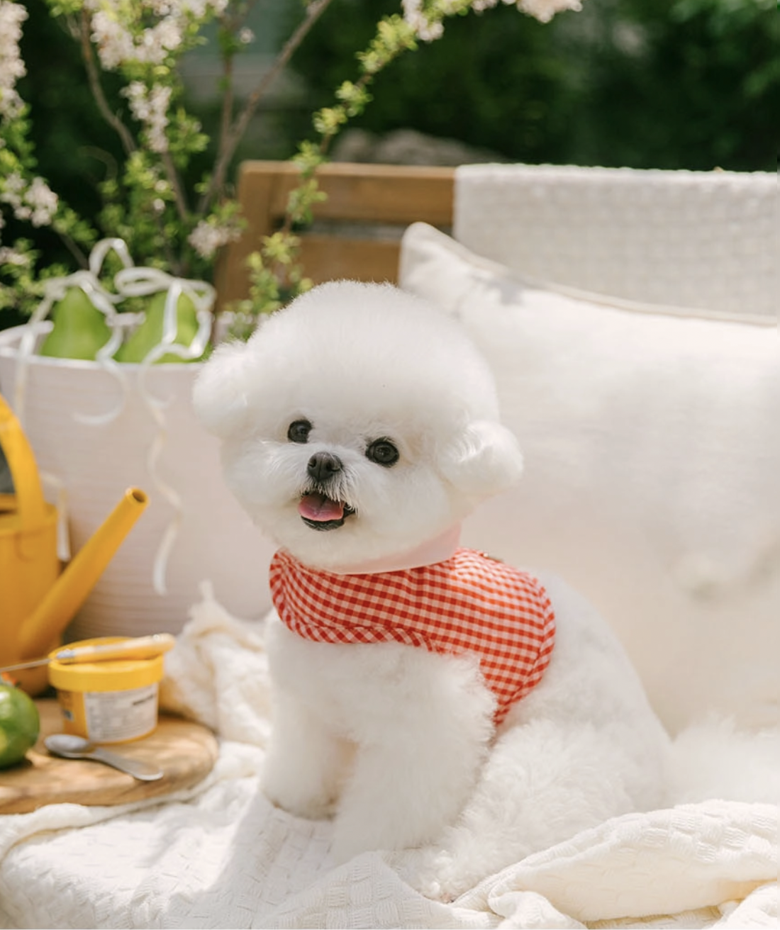 格紋涼感胸背帶（附冰袋）