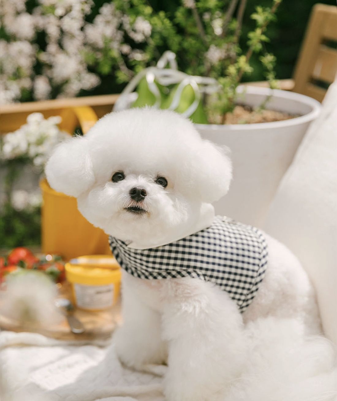 格紋涼感胸背帶（附冰袋）