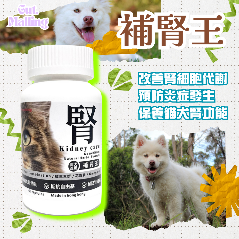 寵草王 - 補腎王60粒裝膠囊 (貓狗適用)