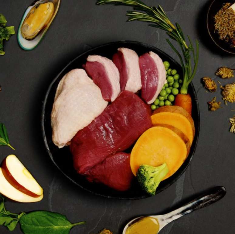 Canagan原之選 無穀物狗罐頭．田園野味400g