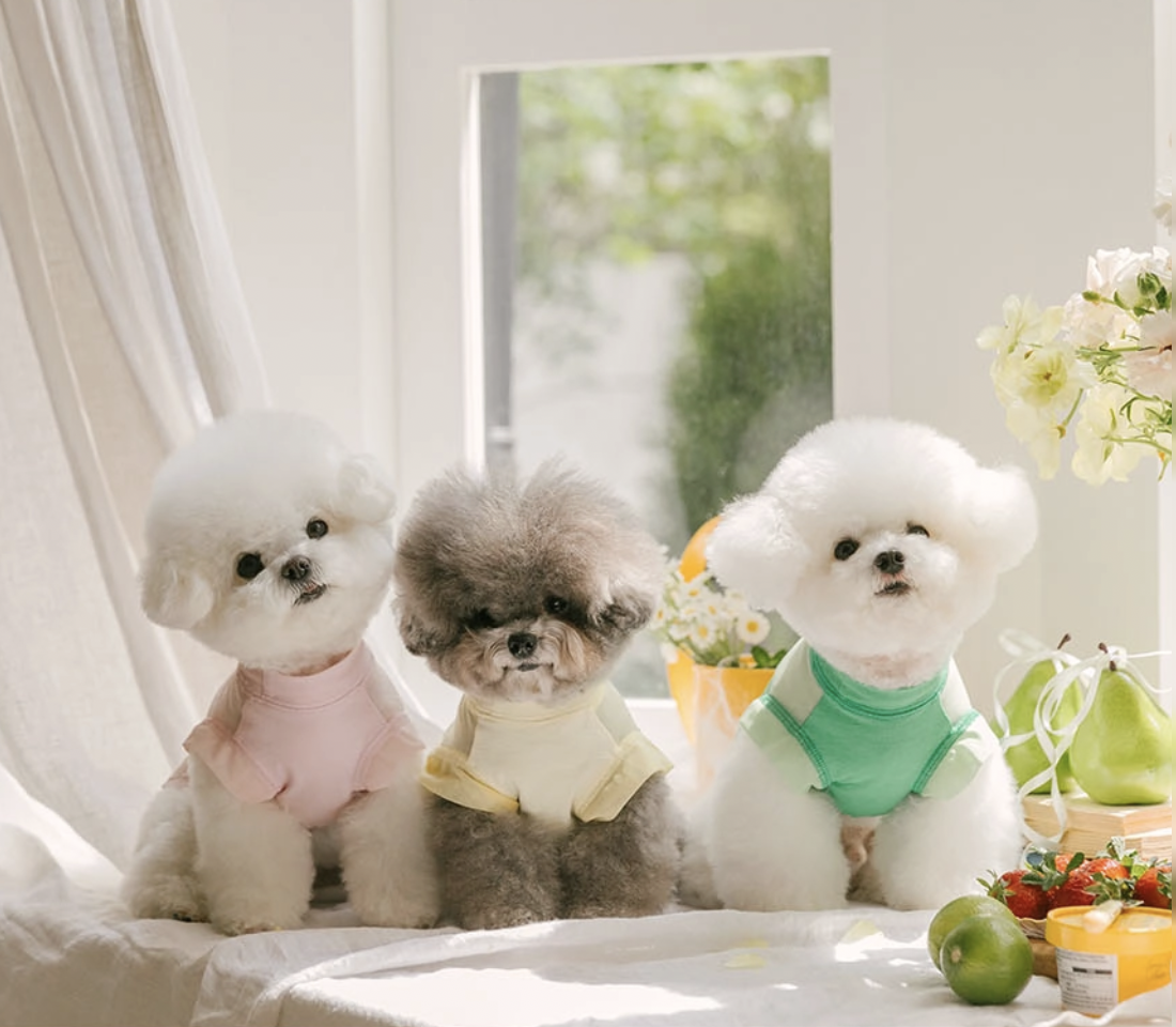 冰淇淋涼感上衣