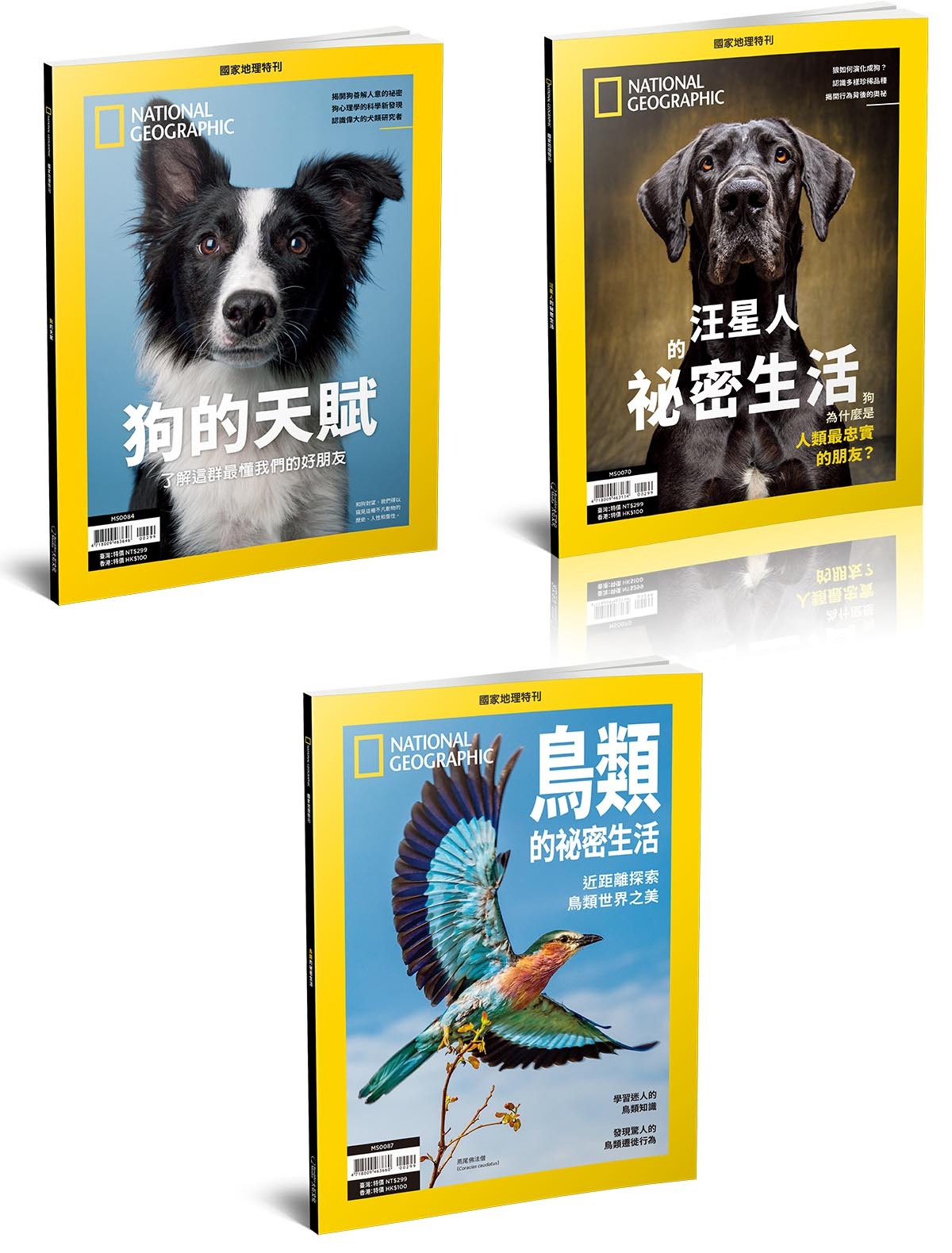 【限港澳直送】《國家地理》【動物觀察套書】鳥類×狗的天賦×汪星人｜深入毛孩與野性的世界（共3本）