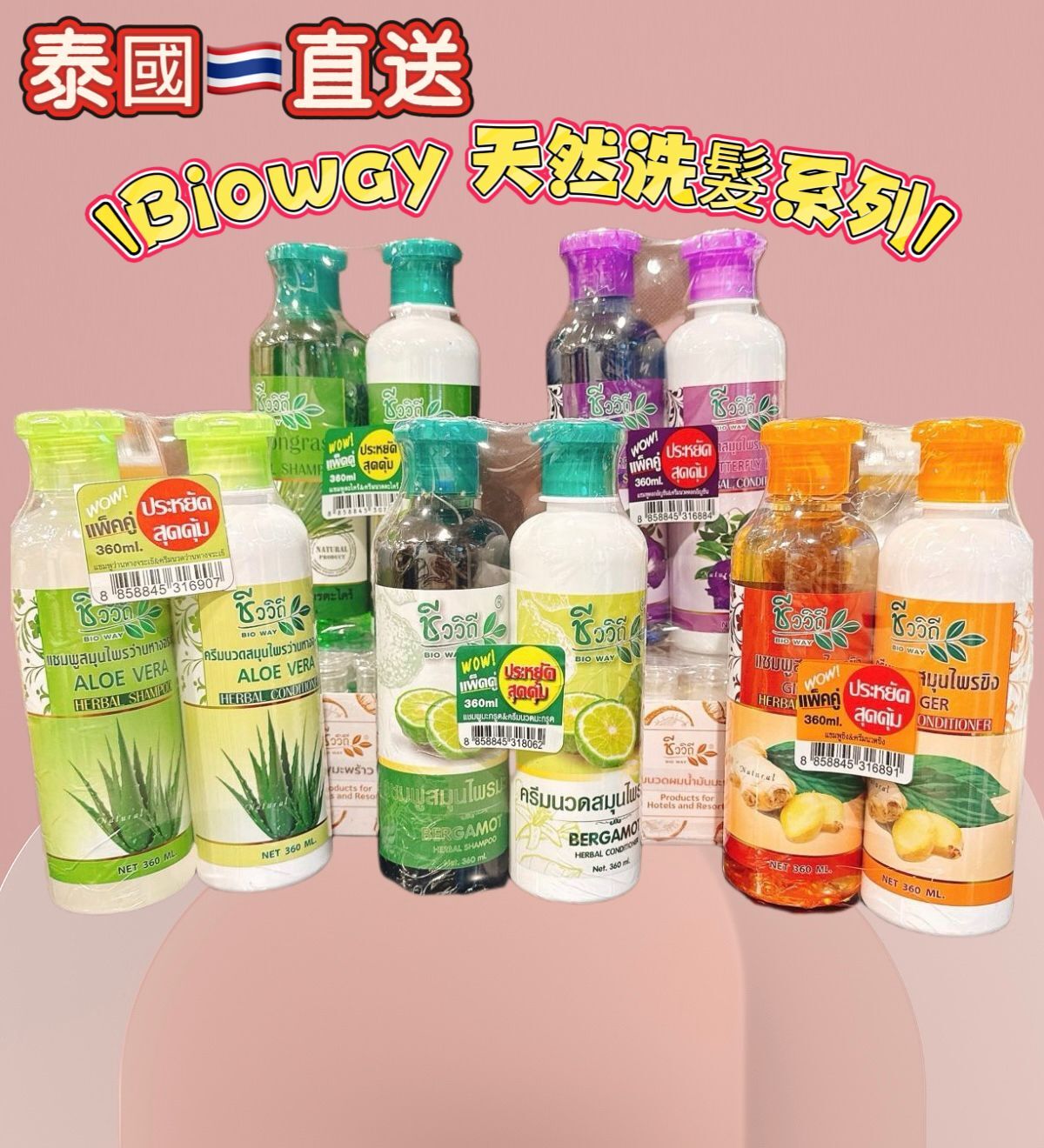 泰國 BIOWAY 天然洗髮水 護髮素 套裝