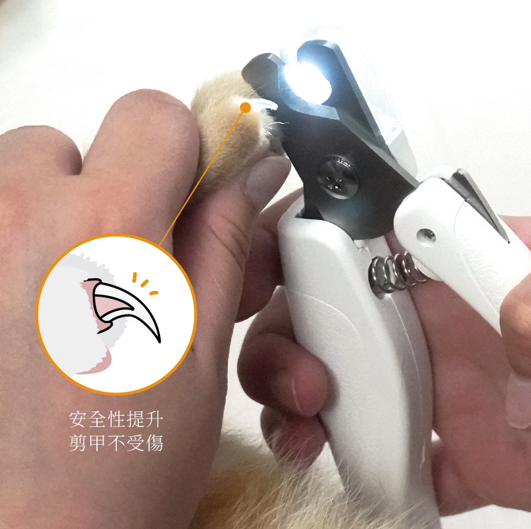 寵物剪甲示範安全不受傷