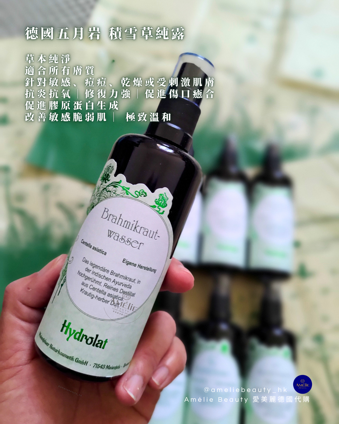 德國五月岩 積雪草純露 神之成份 - 積雪草（Centella asiatica）抗炎抗氧化