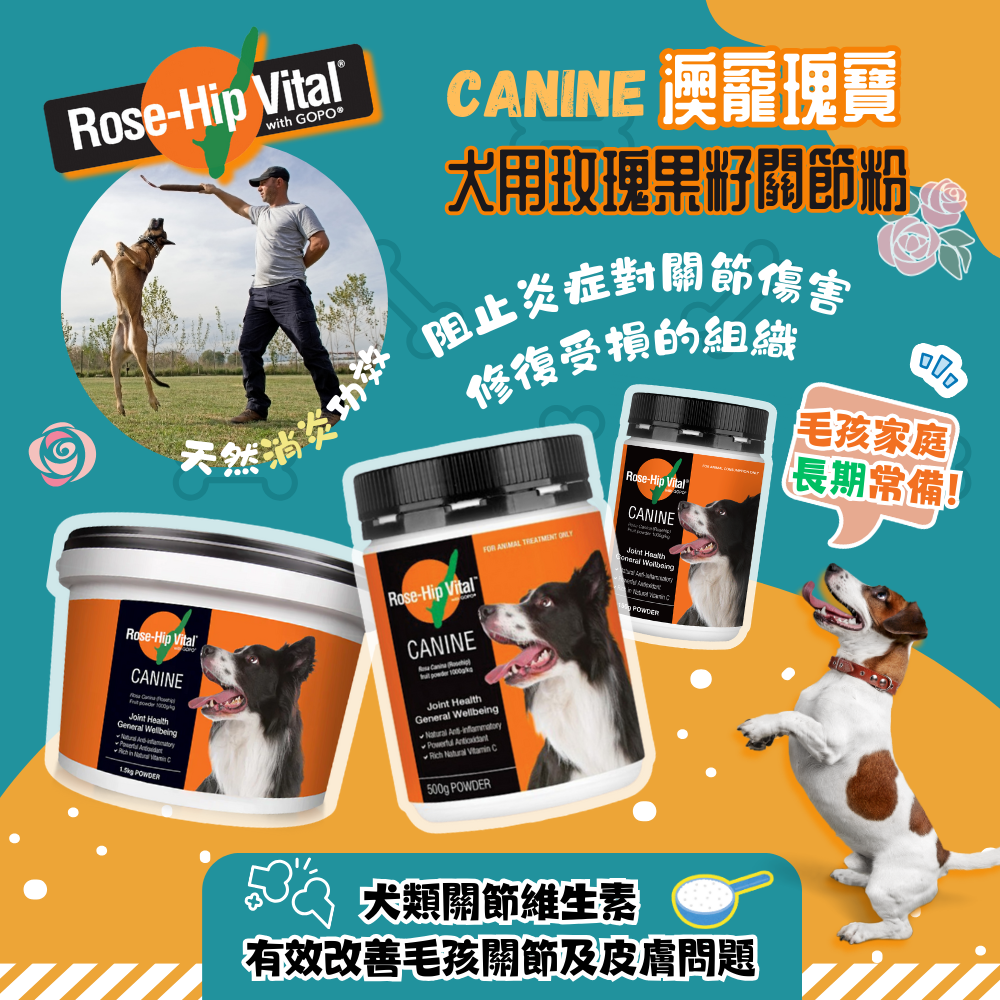 Rose-Hip Vital Canine 澳寵瑰寶犬用玫瑰果籽關節粉｜香港代理行貨