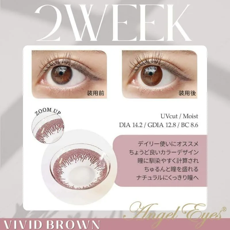 Angel Eyes 2 Week Vivid Brown｜雙週拋彩妝隱形眼鏡｜每盒6片