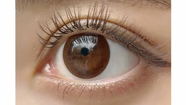 [散光] Angel Eyes 1 Day Toric Vivid Brown｜日拋彩妝隱形眼鏡｜每盒10片