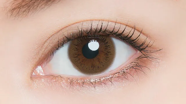 Artiral 1 Day UVM Ochre｜日拋彩妝隱形眼鏡｜每盒10片