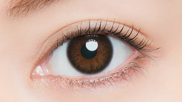 Artiral 1 Day UVM Black｜日拋彩妝隱形眼鏡｜每盒10片