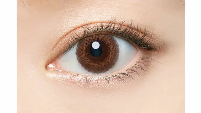 AngelColor Bambi Series 1 Day Vintage Bear｜日拋彩妝隱形眼鏡｜每盒10片