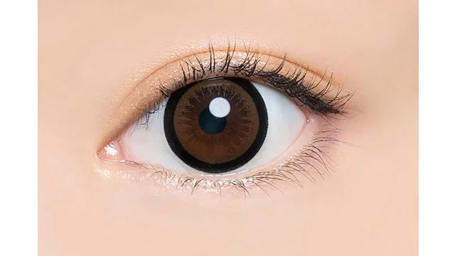 AngelColor Bambi Series 1 Day Almond 杏仁棕｜日拋彩妝隱形眼鏡｜每盒10片