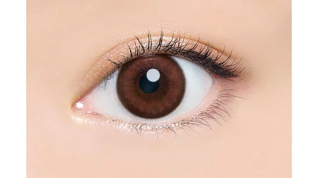 AngelColor Bambi Series 1 Day Cassis Brown 黑加侖棕｜日拋彩妝隱形眼鏡｜每盒10片