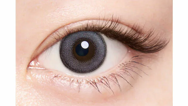 Angelcolor Bambi Series 1 Month Swan Gray 天鵝灰｜月拋彩妝隱形眼鏡｜每盒2片