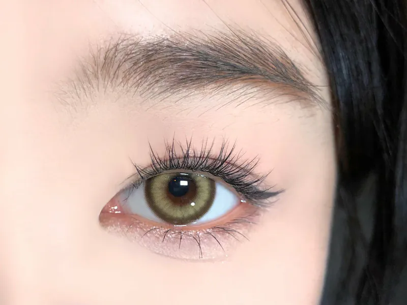 Barrieyes 1 Day Demon Brown 達曼棕｜日拋彩妝隱形眼鏡｜每盒6片