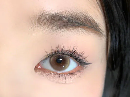 Barrieyes 1 Day Fairy Brown 月隱棕｜日拋彩妝隱形眼鏡｜每盒6片