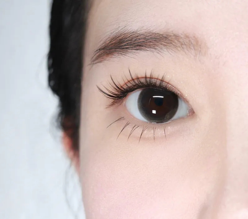 Barrieyes Aurora Series 1 Day Gleam Black 星夜微光｜日拋彩妝隱形眼鏡｜每盒6片