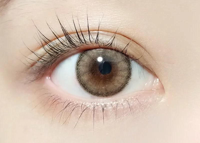 Barrieyes 1 Day Dawn Hazel 淡褐色｜日拋彩妝隱形眼鏡｜每盒6片