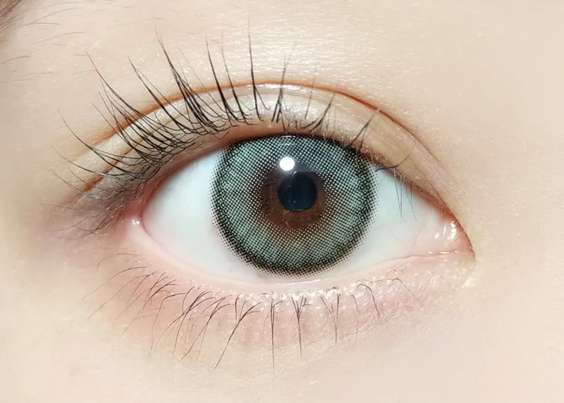 Barrieyes 1 Day Dawn Olive 橄欖色｜日拋彩妝隱形眼鏡｜每盒6片