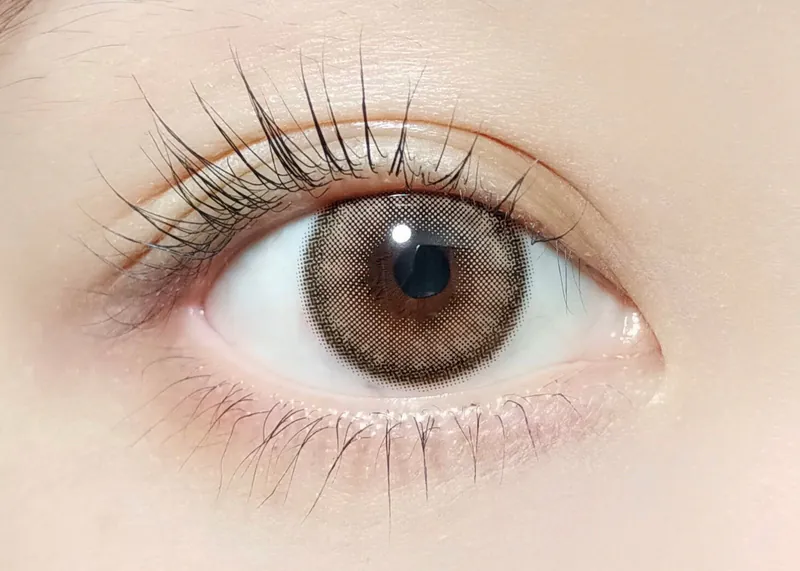 Barrieyes 1 Day Dawn Brown 黎明棕｜日拋彩妝隱形眼鏡｜每盒6片