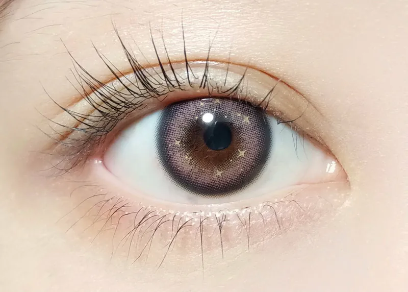 Barrieyes 1 Day Plum Mauve 紫梅花｜日拋彩妝隱形眼鏡｜每盒6片