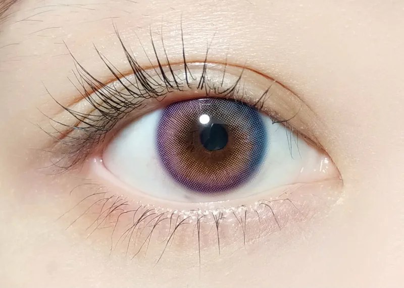 Barrieyes 1 Day Blueberry 藍莓色｜日拋彩妝隱形眼鏡｜每盒6片