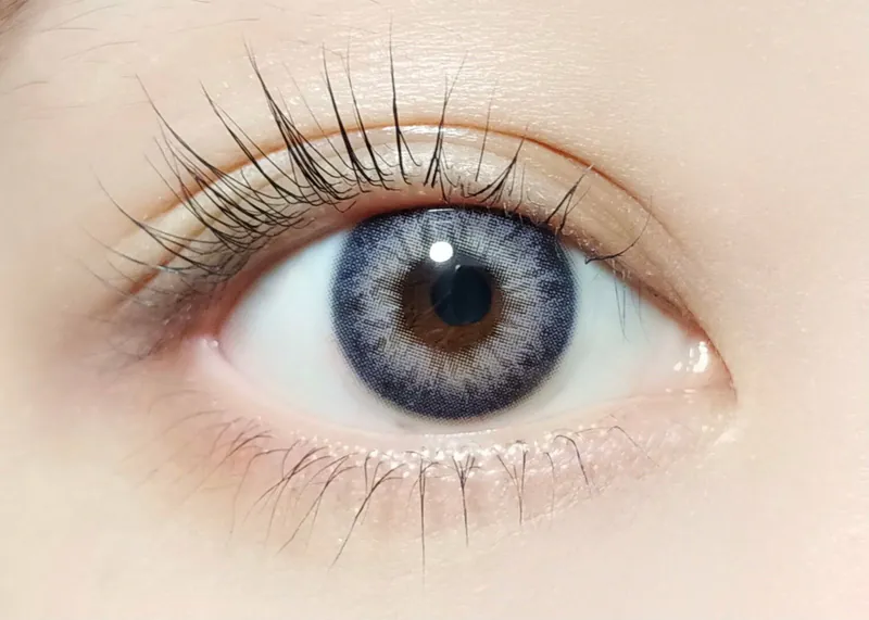 Barrieyes 1 Day Iris Violet 鳶尾紫｜日拋彩妝隱形眼鏡｜每盒6片