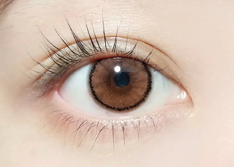 Barrieyes 1 Day Pearl Brown 珍珠棕｜日拋彩妝隱形眼鏡｜每盒6片