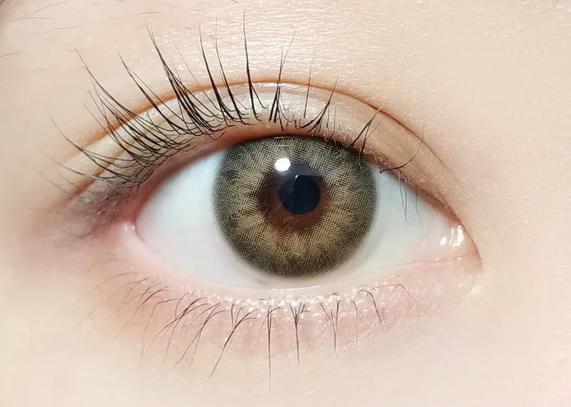 Barrieyes 1 Day Iris Beige 米黃色｜日拋彩妝隱形眼鏡｜每盒6片