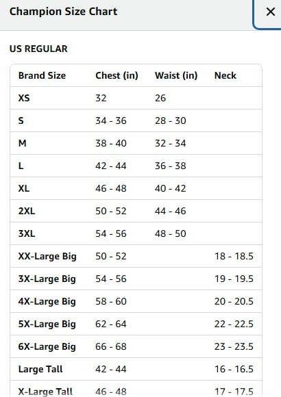 【預購】Champion Fleece Script G071145 男裝衛衣