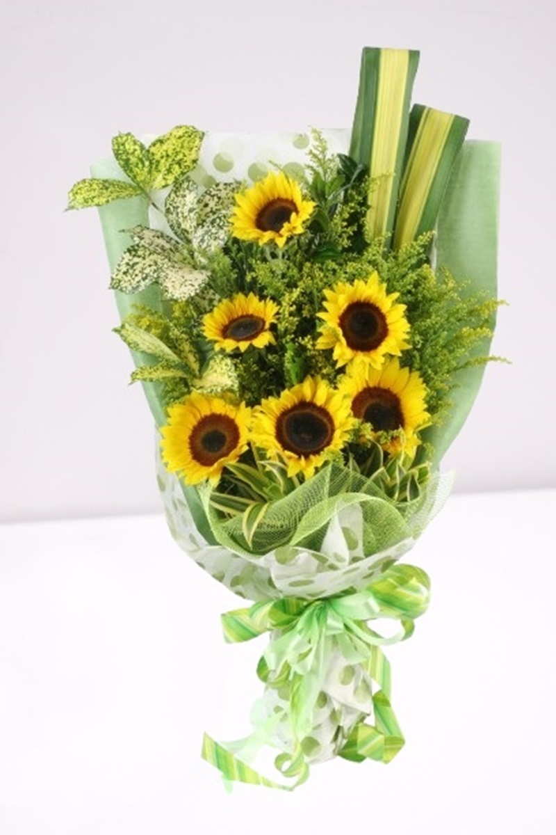 HHB38 ⭐⭐⭐⭐⭐FREE DELIVERY