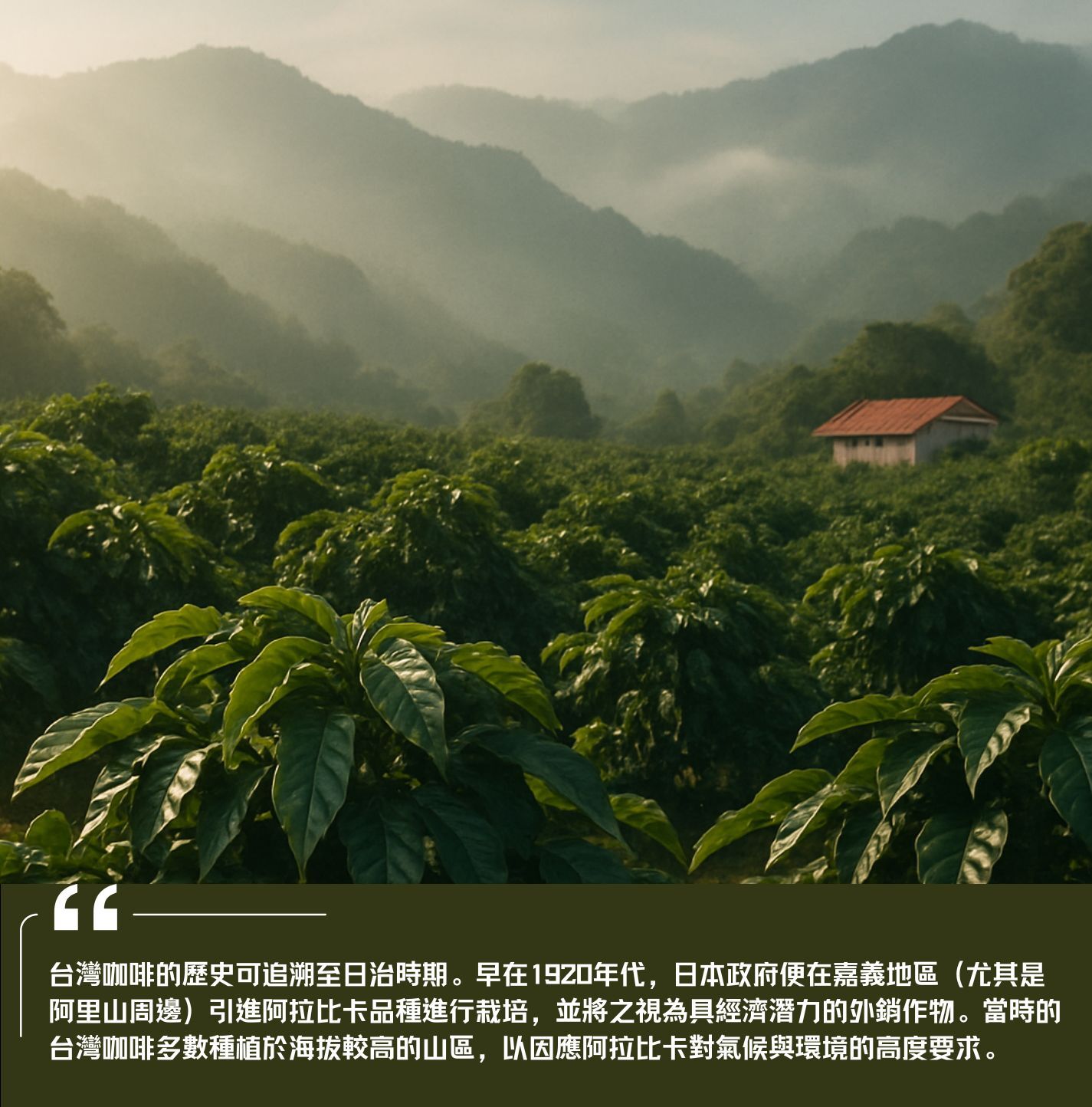 台灣咖啡 咖啡的歷史 台灣咖啡的歷史 手沖咖啡 精品咖啡 濾泡式咖啡 咖啡產地 手沖歷史 手沖壺 咖啡知識