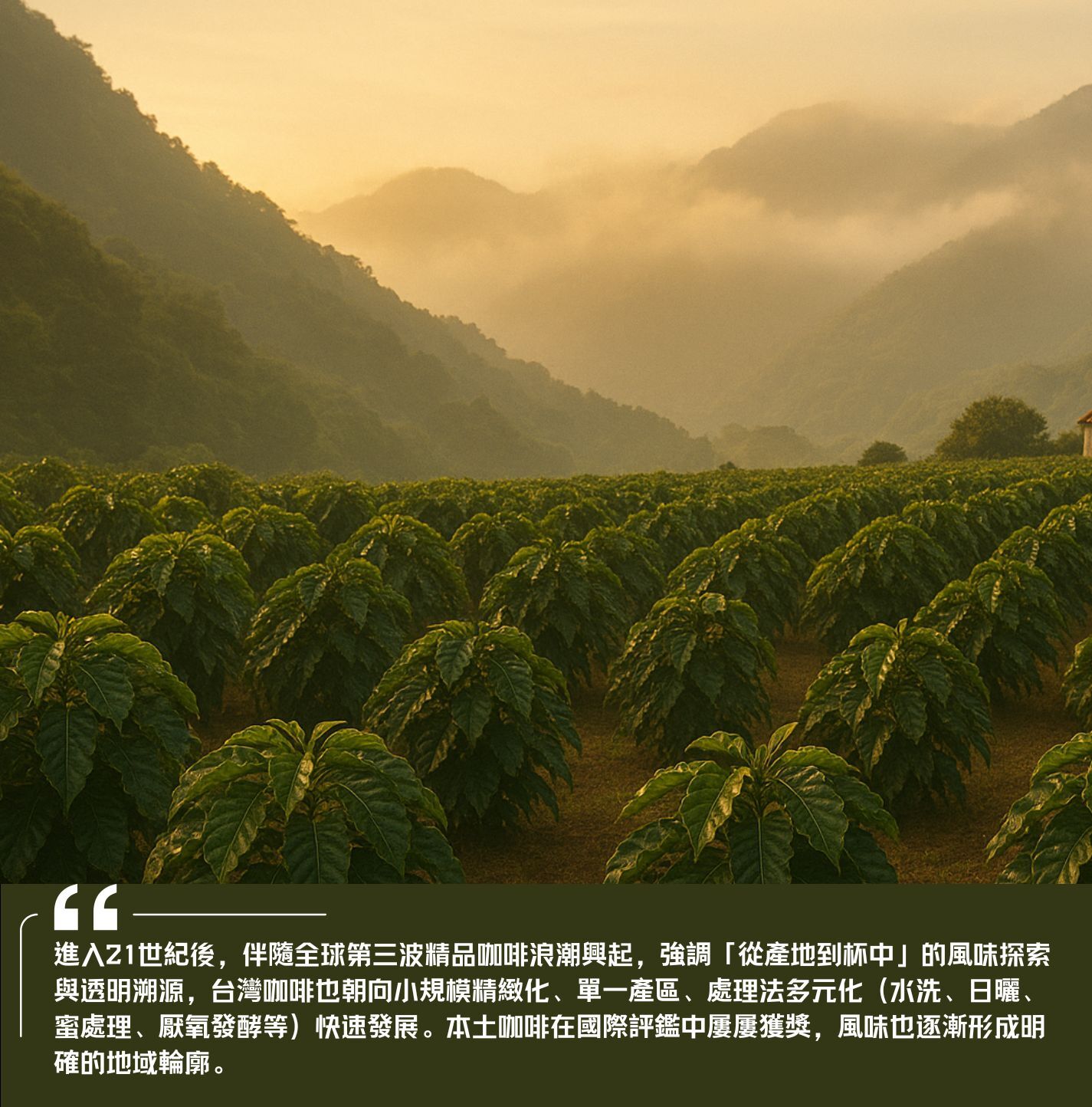 台灣咖啡 咖啡的歷史 台灣咖啡的歷史 手沖咖啡 精品咖啡 濾泡式咖啡 咖啡產地 手沖歷史 手沖壺 咖啡知識